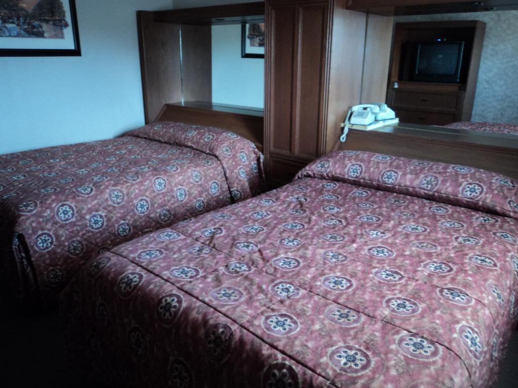 Hotel Monaco Ciudad Juárez Extérieur photo